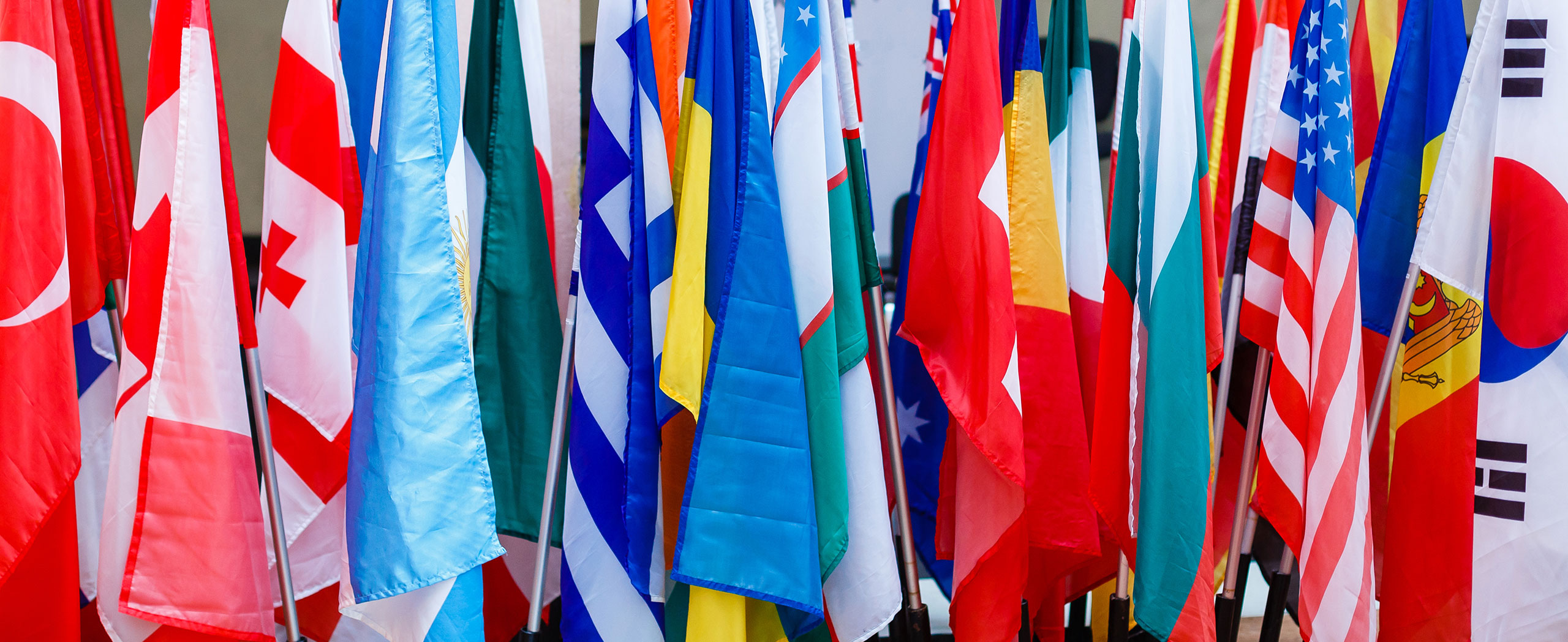 International - Flags - Header