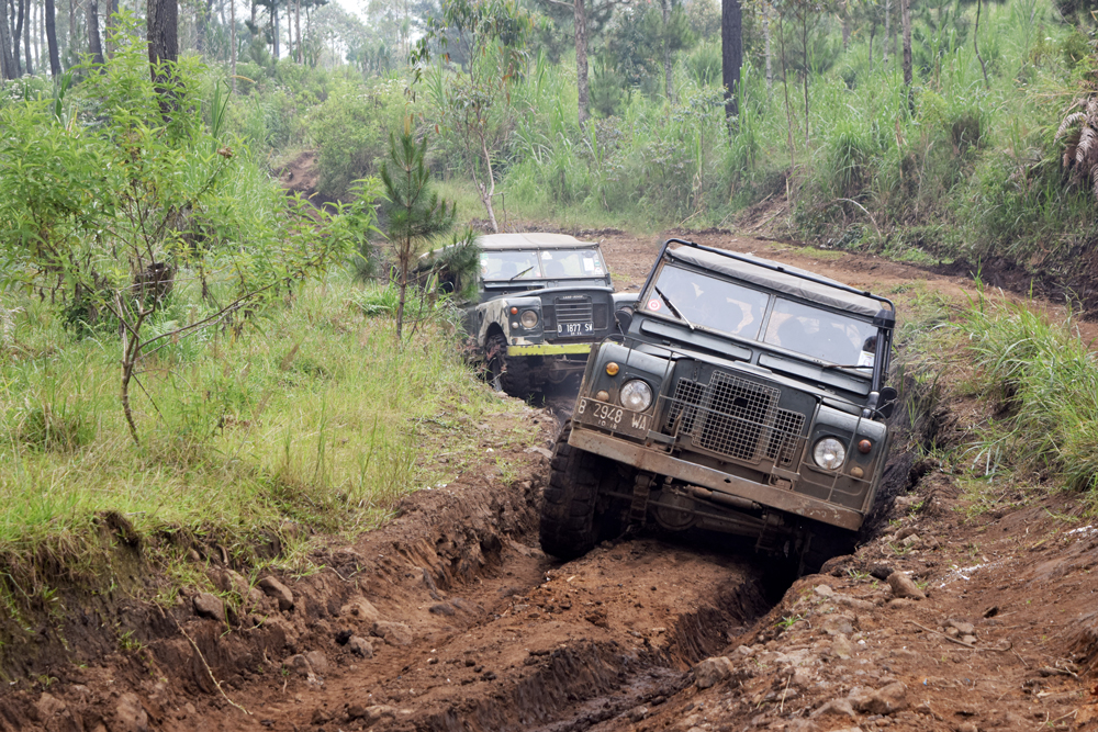 Indonesia Automotive Market