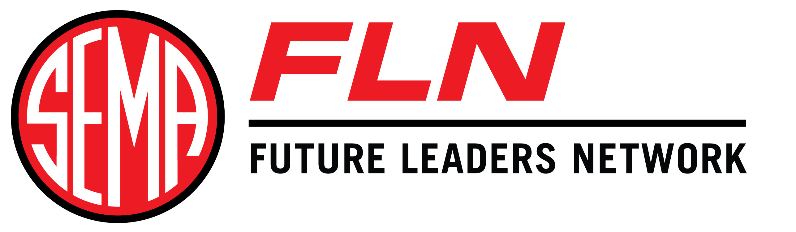 Future Leaders Network (FLN) - Logo