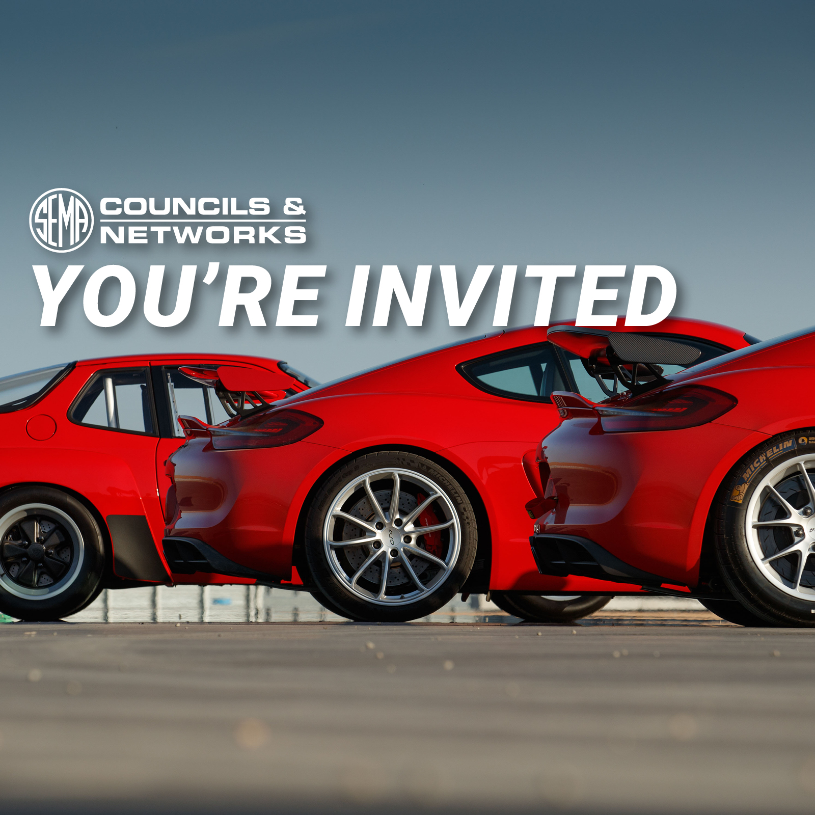 PRO You're invited. Sports cars lined up