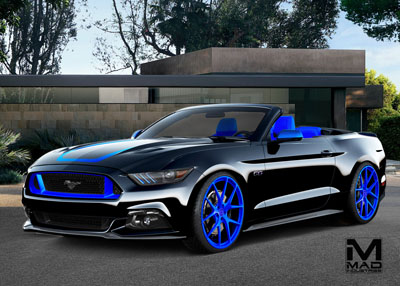 Black and Blue Mustang