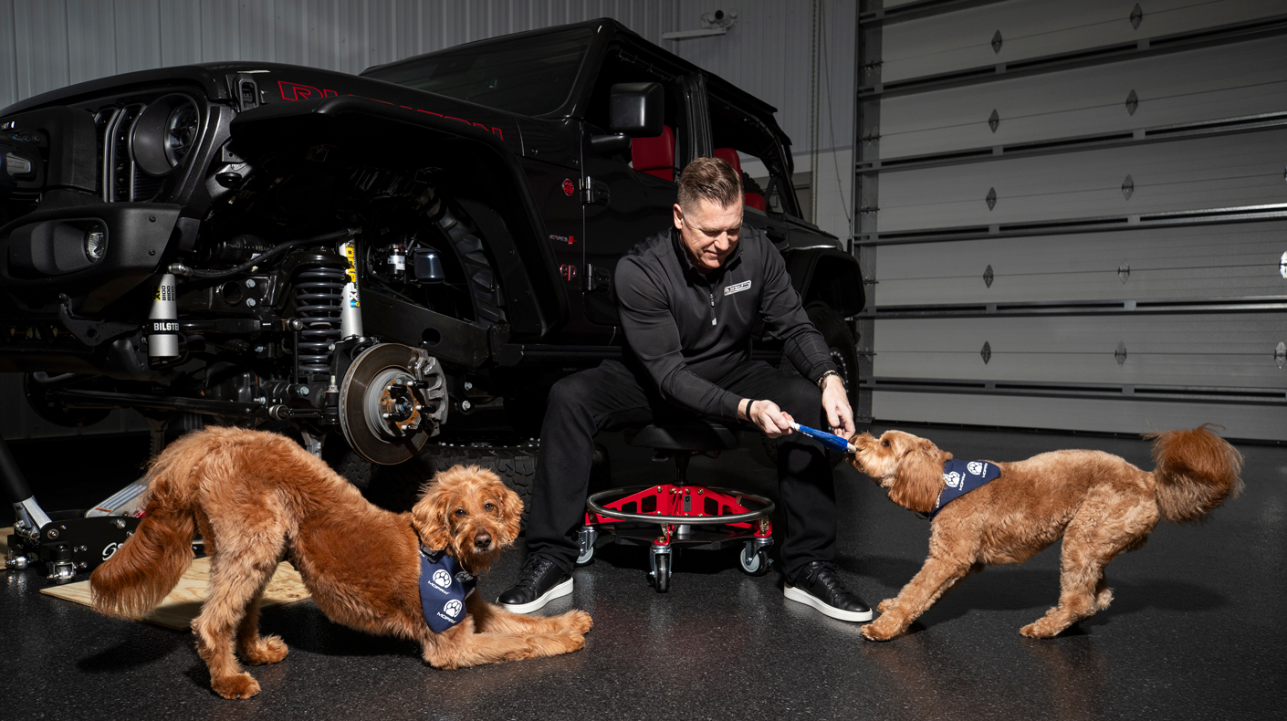 Image of dogs playing with Mopaw toys.