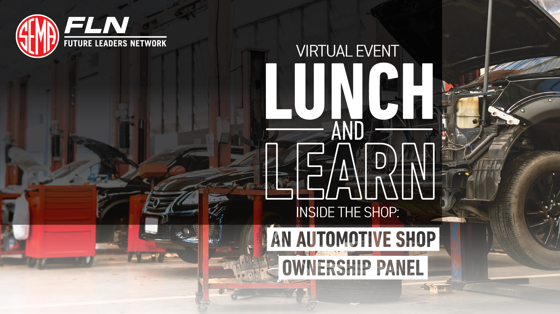 A graphic with the FLN logo and the words Lunch and Learn.