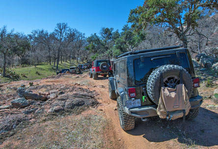 A line of Jeeps driving down a dirt trail.