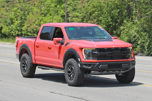 Raptor