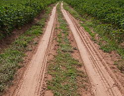 West Virginia West Virginia