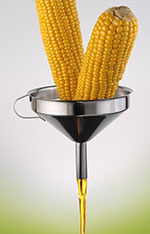 West Virginia West Virginia